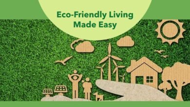 Eco-Friendly Living Tips